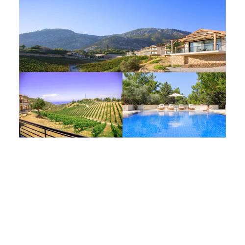 Gillham Luxury Boutique & Wineyard