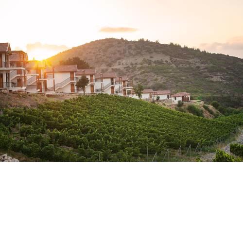 Gillham Vineyard Hotel