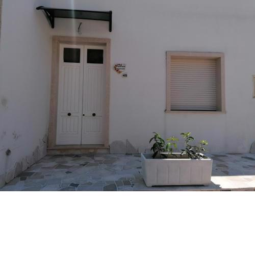 Gioffredi Apartments
