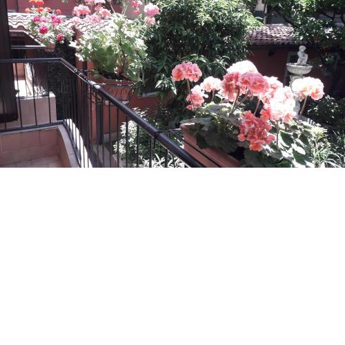 Gioia Bed and Breakfast