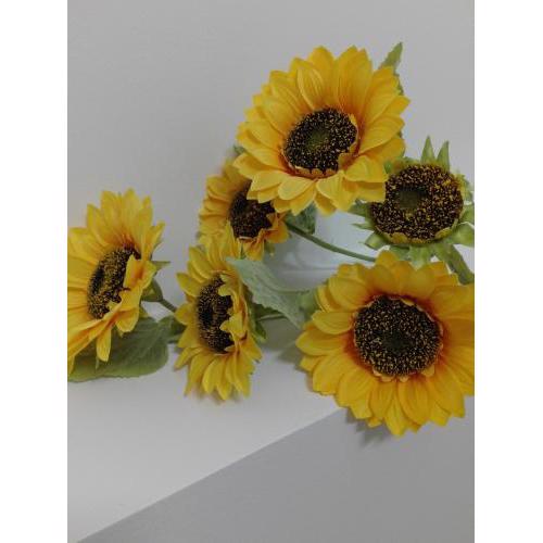 Girasole Grazioli 47