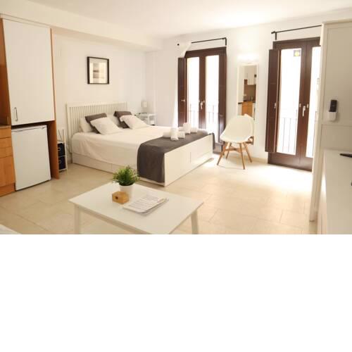 Girona La Lleona