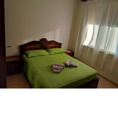 Gjikoka Apartment