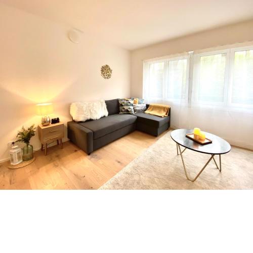 GLAD Spot - Liestal - 10 min from Basel - Central, Modern & Netflix