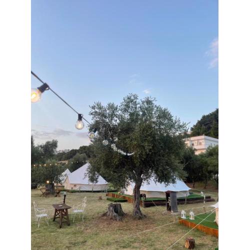 Glamour TentF Glamping Experience
