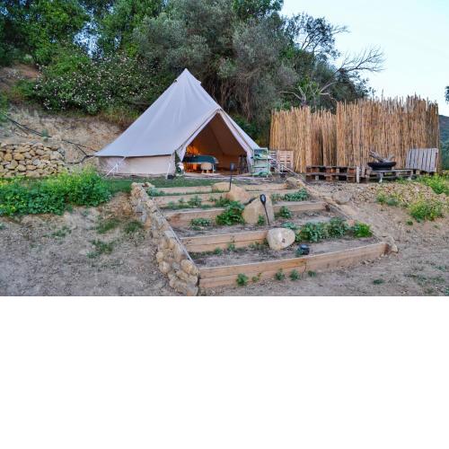 Glamping Canvas tent in Chania Wild Cretan West