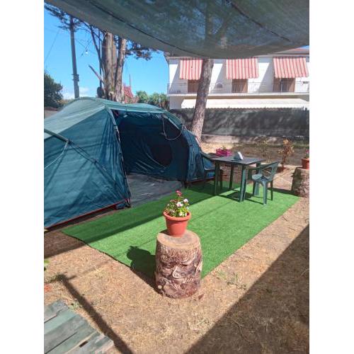 Glamping Pineta