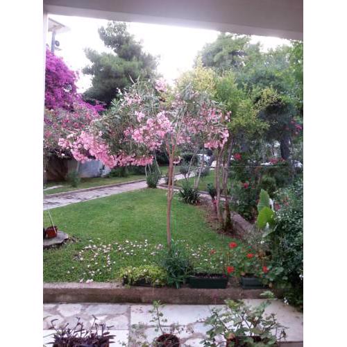 Glyfada beach with beautiful garden apartment.