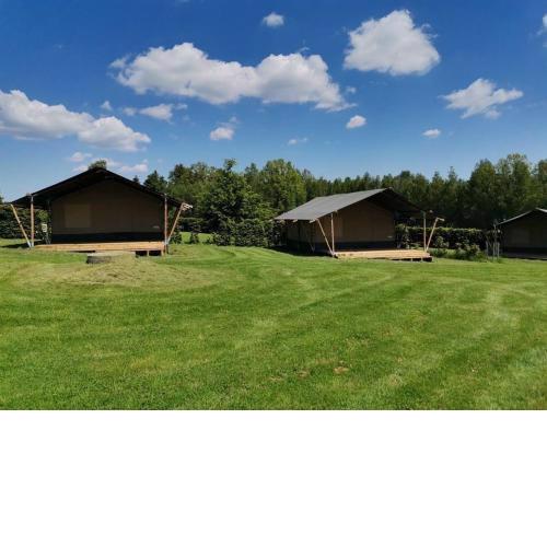 Go glamping in Šluknov