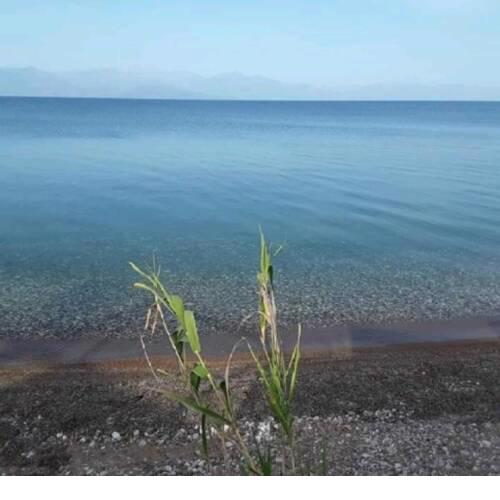 Golden sea villa (30 meters from the sea)