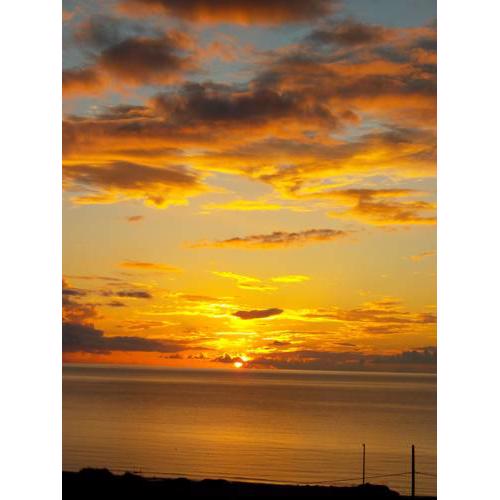 Golden Sun Apartments