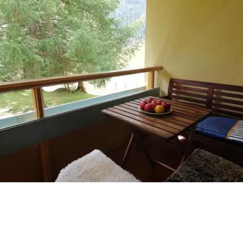 Golf & Ski Apartment