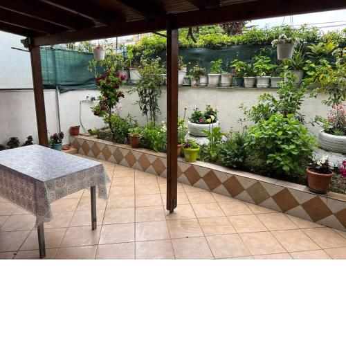 Goni Guest House