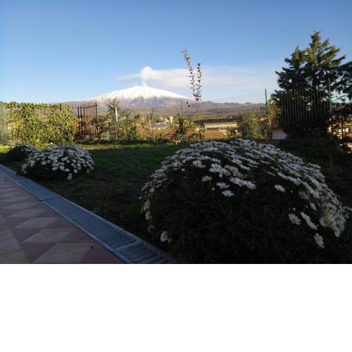 Good Morning Etna