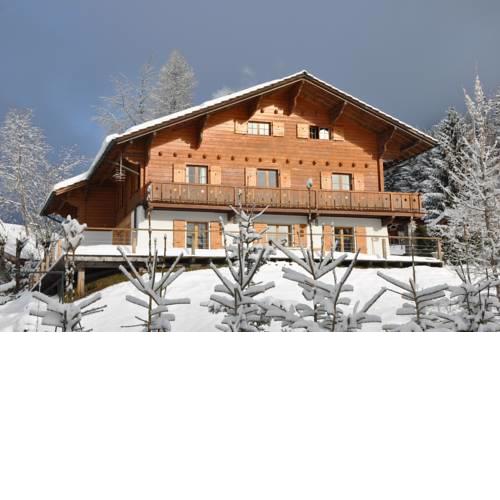 Gorgeous and spacious chalet near the center