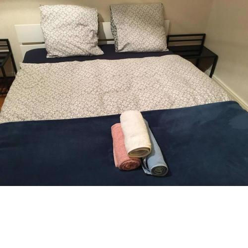 Grand Appartement avec 3 chambres à coucher