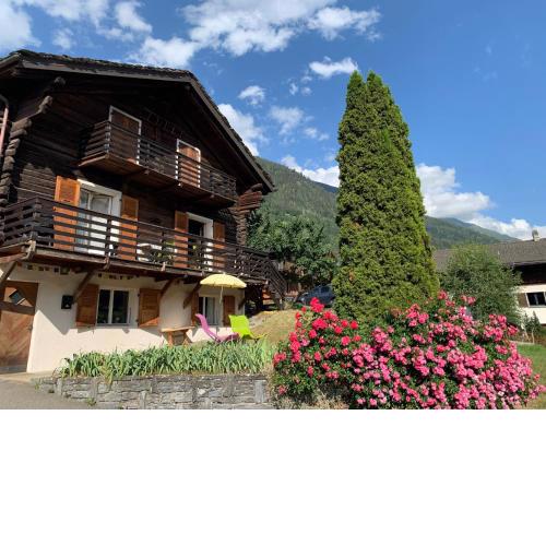 Grand chalet familial
