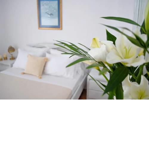 Grandma's Elegant Apartment in Naxos Town