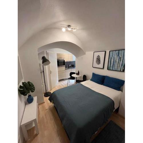 Graz City Centre Apartment 6