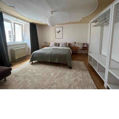 Graz City Centre Apartment 9