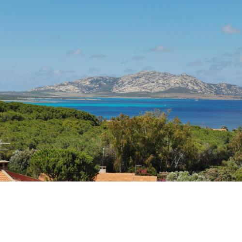 Great Apartment Stintino