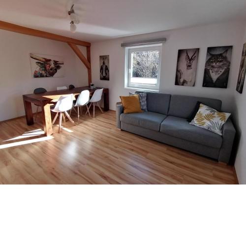 Great holiday apartment in Dienten am Hochköni