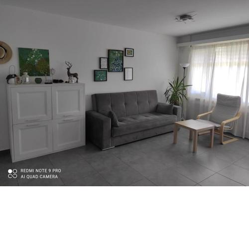 Green apartment Ponte Capriasca