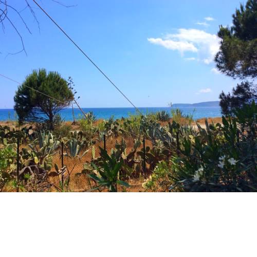 Green Beach