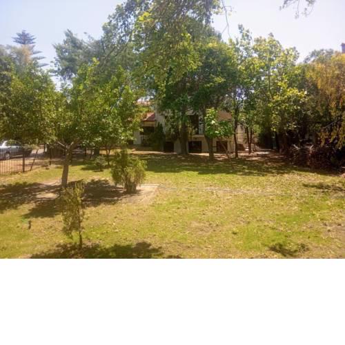 Green Garden