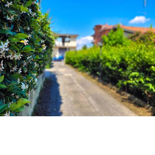Green Home