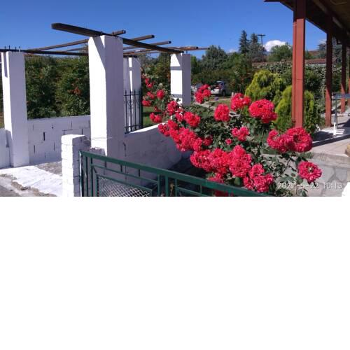 Green house - Apartment in Aridaia-Loutra Pozar