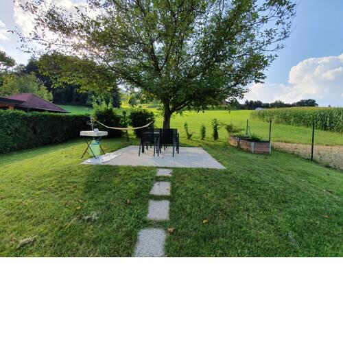 Green Oasis Anica