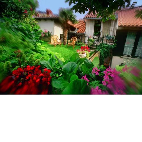 Green Oasis Apartments JG
