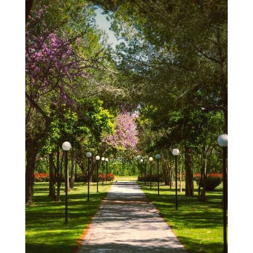 Green Park Divjakë