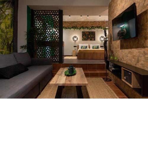 Green Symi Apartment
