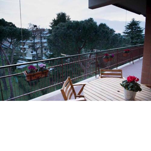 Green view apartment