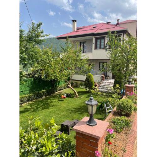 Greenland Villa Premium