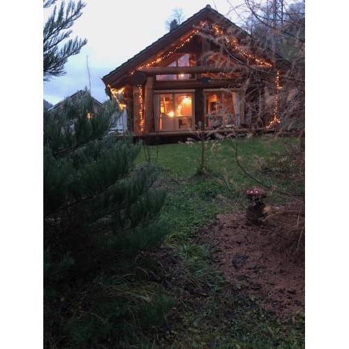 Grizzly Lodge