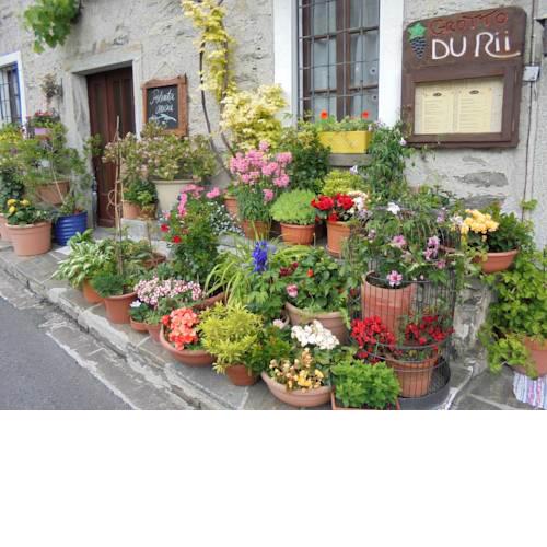 Grotto Du Rii