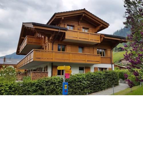 Gstaad Perfect Winter Luxury Flat with great views