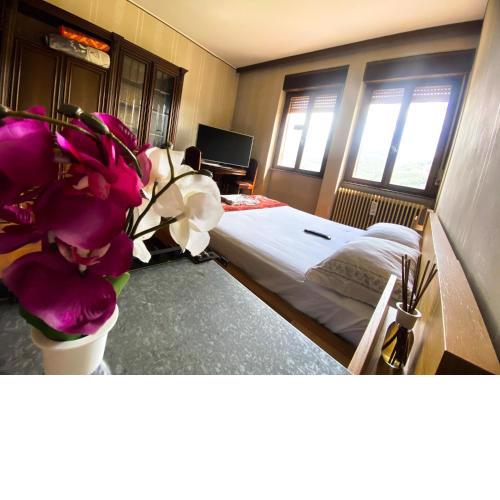 Guest hause