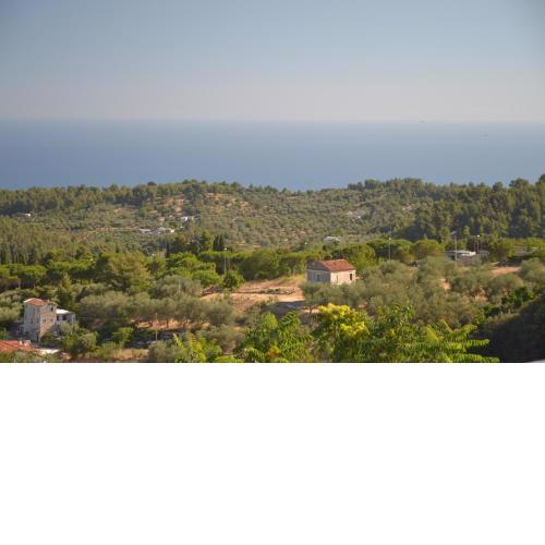 Guest House - Villa Uria