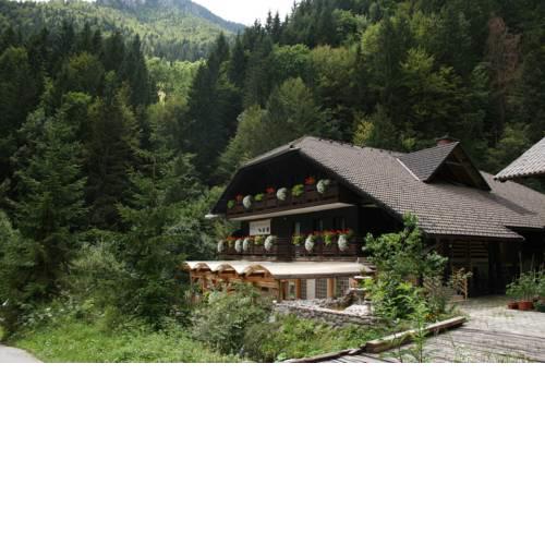 Guest House and Museum Firšt
