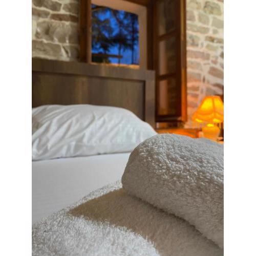 Guest House Ani
