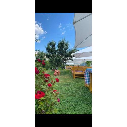 ( Guest house ) Bujtina Xhevair Gjoni