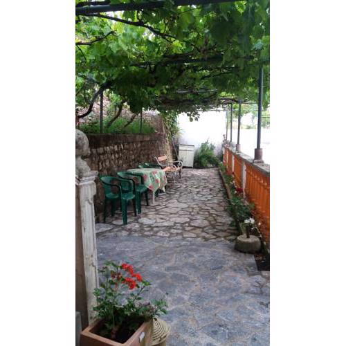 Guest House Cvoro