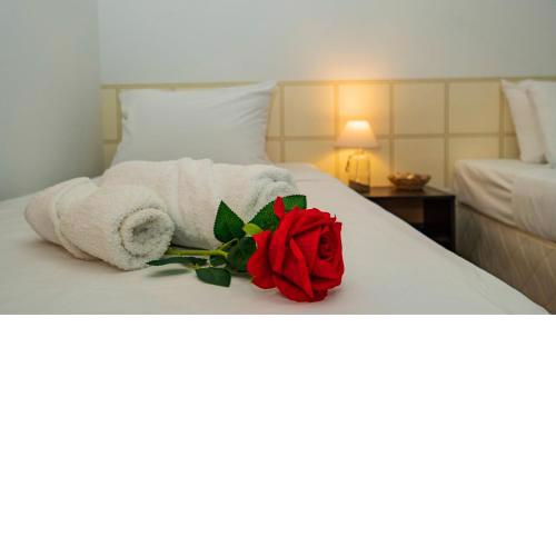 Guest House Elidis