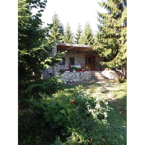 Guest house Hyrmet Demushi