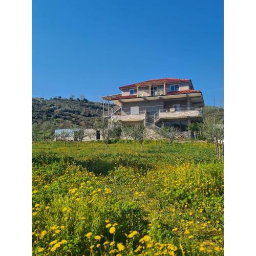 Guest House Ilir