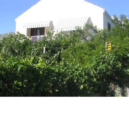 Guest House Kola